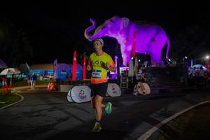 BIB: 
                            <button type="button" onclick="openModal(26552038)" class="btn btn-primary btn-sm float-right btn-popup" data-toggle="modal" data-target=".modal-high-quality">
                        <i class="fas fa-shopping-cart"></i> Add to Cart
                    </button>
                                            <button type="button" onclick="isThisMe(26552038, true)" class="btn btn-success btn-sm float-right btn-popup btn-isme hidden" data-toggle="tooltip" data-placement="bottom" title="นี่คือรูปของคุณใช่ไหม คลิกที่นี่เพื่อเอาเข้าอัลบั้ม">
                        <i class="fas fa-plus"></i> Add to album
                    </button>
                    <button type="button" onclick="isThisMe(26552038, false)" class="btn btn-warning btn-sm float-right btn-popup btn-isnotme hidden">
                        <i class="fas fa-ban"></i> Remove from album
                    </button>